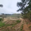 신기리농장 이미지