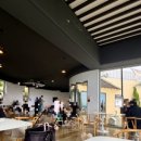(🐶 실내 동반 가능) 울산 울주군 애견동반 카페 아워사이드 내돈내산 후기