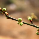 지리산골 이미지