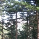 아리랑토산2 | (33) 아리랑 아리랑 아라리요