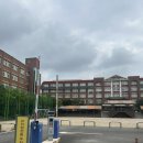 경기도 수원시 영통구 동수원로551번길 이미지