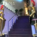 킹덤스포렉스 이미지