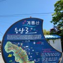 [명산기행#354] 거제 계룡산 고자산치 최단코스 산행 이미지