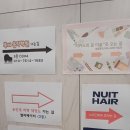 꿈을그린이비인후과의원 | 루미음악학원 산부인과 피카소의꿈 이문 셀로디피부과 두리이비인후과 누이트헤어 동대문누리발달센터