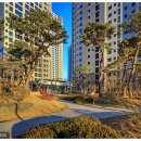 로얄부동산24공인중개사사무소 이미지