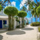 라임비치 이미지