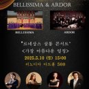 피노디아 아트홀 500 이미지