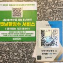 안동갈비식당 | 안동 분위기 좋은 식당 정원뷰 안동갈비 맛집 법상갈비 육회비빔밥 후기