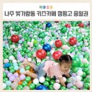 점핑고플러스