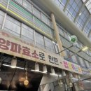 펩트위스트 이미지