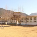 안법초등학교 이미지