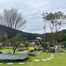 상사포레브(FOREV)