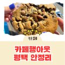 국수나무 팽성점 | [카페 리뷰] 평택 팽성 안정리 카페 행아웃 쿠키 커피 맛집 내돈내산 후기