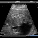 그대안에산부인과의원 이미지