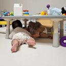 2414 | [2025년 11월 티스토리 월간 결산] 블로그 운영 4개월 차 기록 (방문자 2,414명, 검색 유입 76%)