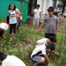 녹전초등학교 이미지