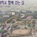 미룡 이미지