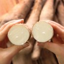 변비에 좋은 음식 마 추천 + 30년 변비러가 찾은 변비 직빵 꿀조합은