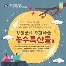 강진-37 이미지