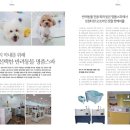 명품 애견유치원 호텔 이미지
