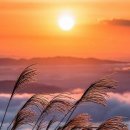 아름다운어느날