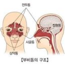 입술을 꼭 다물고 코로 호흡하면 많은 병이 낫는다. 이미지