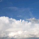 도마태평양약국 이미지