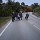 안면도 빨강펜션 이미지