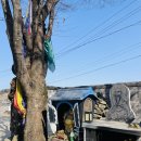 식선생 | 동두천신점 일자선생 후기 실제 경험