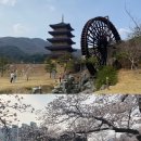 사명대사공원 다목적실 | 김천 가볼만한곳 사명대사공원 연화지 벚꽃명소 후기