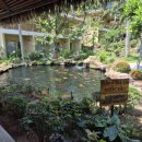 나포리모텔 | 3일차] 중부 라하나리조트 방갈로 조식 솔직 후기 (임산부 비추) I 소나시 야시장 미스터씨푸드 해산물...