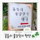 양지꽃펜션 | 단양 숙소 추천 내돈내산, 남천계곡 앞 꽃들의 물감찾기 펜션