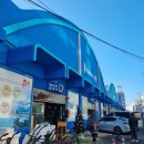 민영활어공장 본점 인천종합어시장 월미도 활어회 스시맛집 내돈내먹 솔직후기