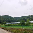 직지문화모티길 이미지