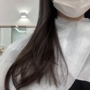 살롱드모연