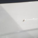 디테일링팩토리 이미지