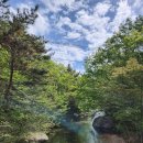 11305-16-683-1 | 국내 패키지여행 1박2일 테마캠프 엄마랑 떠난 남해여행 2탄