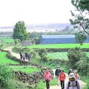 (주)대은계전 이미지