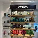 (주)뉴트리허브 | 용산미용실 봄디아 추천 애쉬브라운 인생컬러 후기