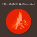 게으른오후 이미지