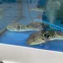 반포대로20길 10 이미지