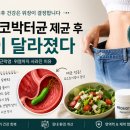 화생약국 - 동작구 노량진로6길 26 | 50대 후반, 헬리코박터균 제균 후 시작된 '위장 리셋' 6가지 비결 (4~5kg 감량 성공)