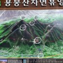 용봉산 자연휴양림 네이버블로그