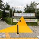 옐로카펫 이미지