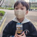 광석세차 | [D+1816,2848] 대전신세계 아이랑 넥스페리움 6살 9살, 대전근교 보은 벚꽃길축제 추천
