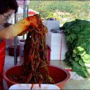 돌산가축 이미지