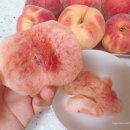달콤가득 | 🍑울산 동구 뉴캐슬장터 대천극복숭아 내돈내산 후기! 과즙 가득 달콤한 여름 제철 복숭아