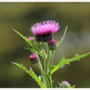 산성식당 이미지