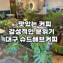 슈드해브커피 | 대구 월배역 상인역 사이 맛있는 커피 한 잔 감성 한 스푼 슈드해브커피