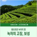 용덕천 | 녹차의 고장, 풍요로운 녹차의 땅, 전라남도 보성